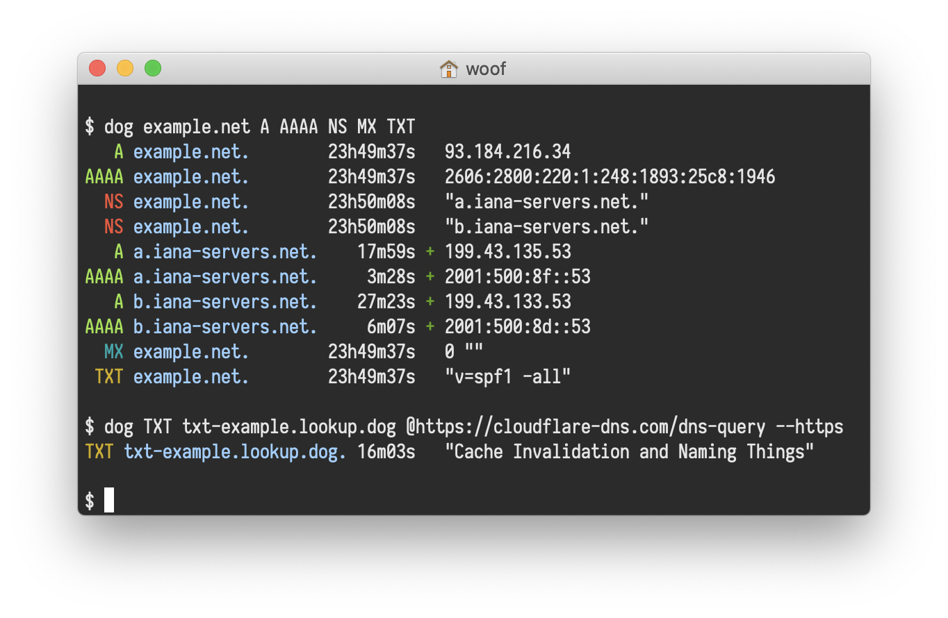 dog outputting DNS query results with colored formatting