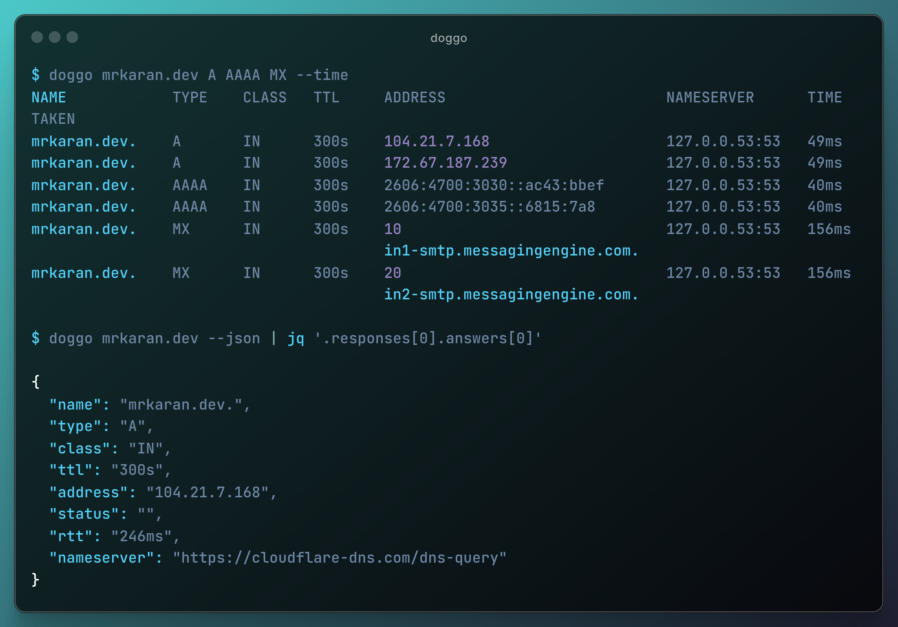 doggo DNS query output with colorized tabular formatting