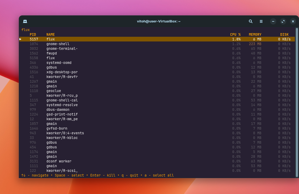 flux showing processes with CPU, memory, and port information