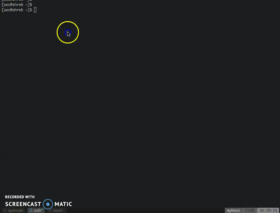 pspy capturing processes and cron jobs in real time