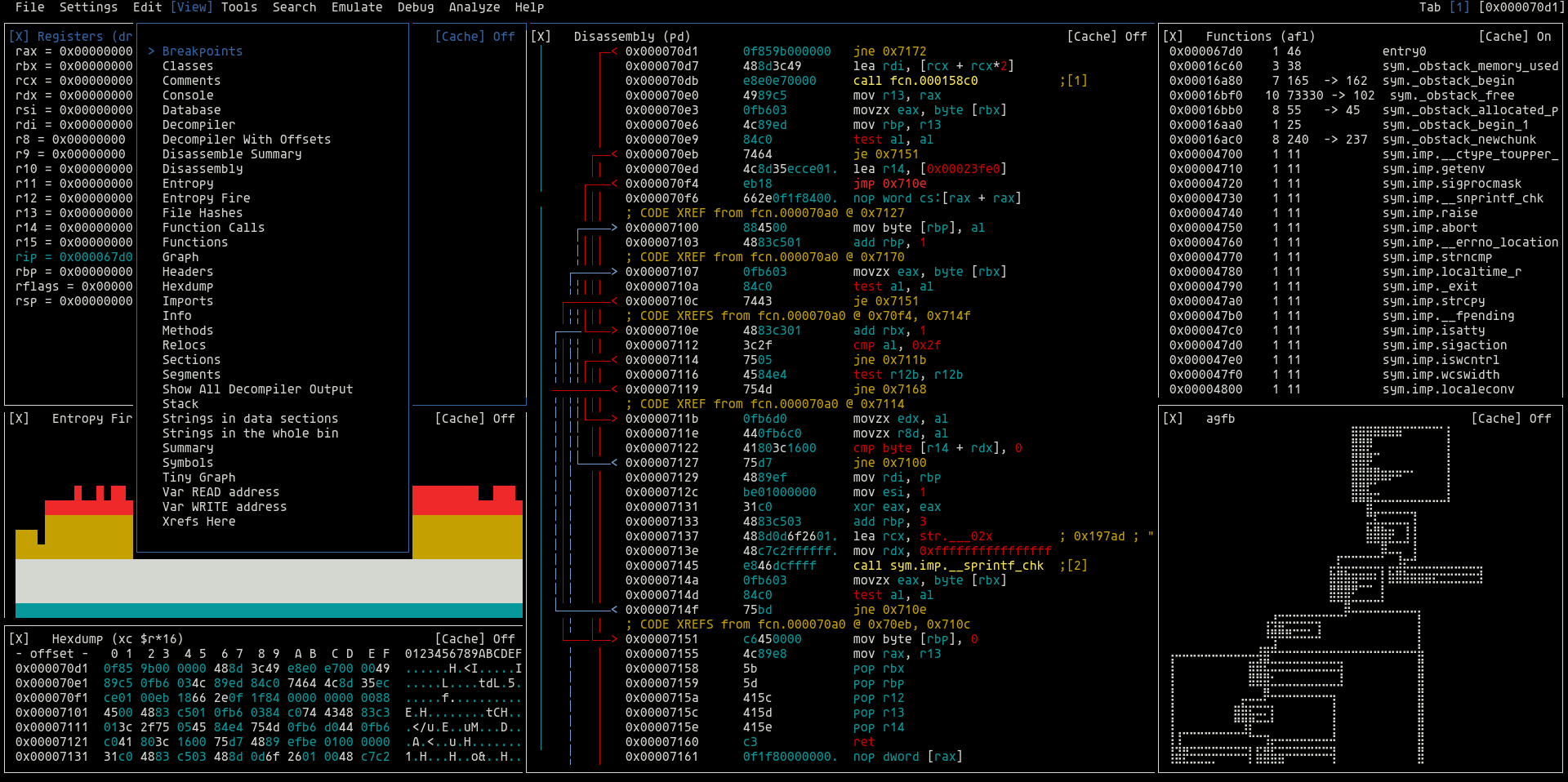 radare2 disassembly and hex view in the terminal